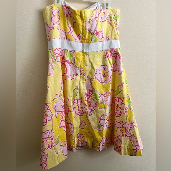 Lilly Pulitzer Amberley Dress - Picture 11 of 13